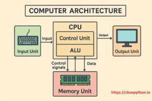 Basic Computer Organisation for Class 11: CBSE Easy Notes