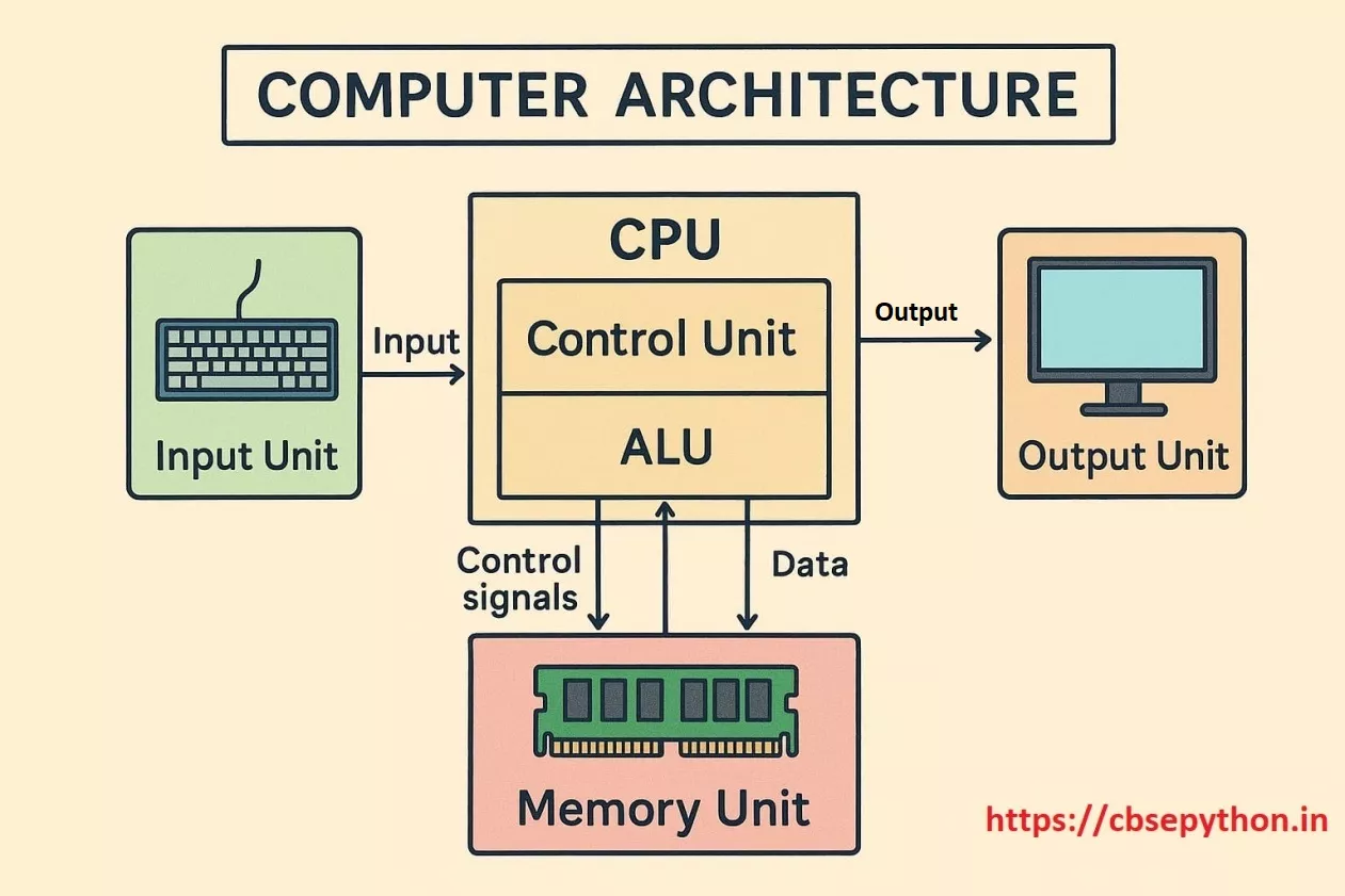 Computer Organisation for Class 11