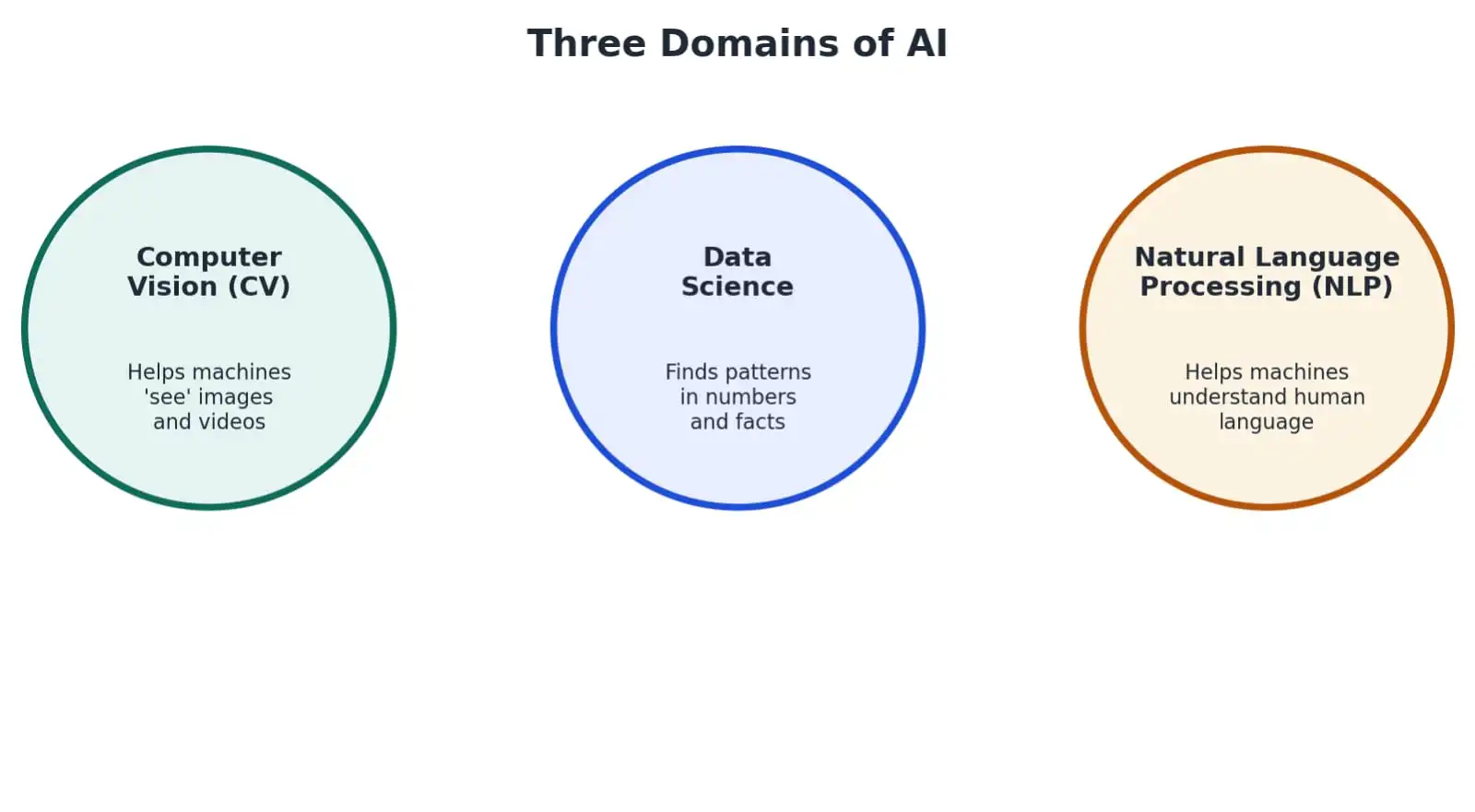 Three domains of AI - Computer Vision, Data Science and Natural Language Processing diagram