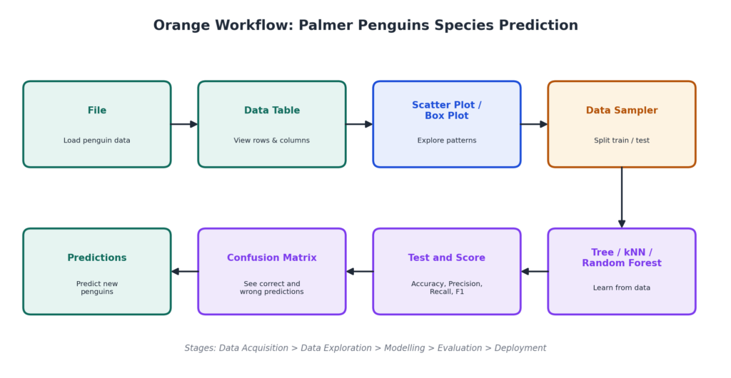 Orange Data Mining workflow for Palmer Penguins species prediction showing File, Data Table, Scatter Plot, Data Sampler, model, Test and Score, Confusion Matrix and Predictions